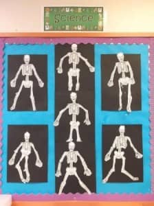 We read Funny Bones and then put the skeletons back together!