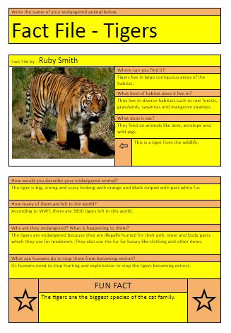 Fact File 3 Tigers Ruby P3F – Riverbank School